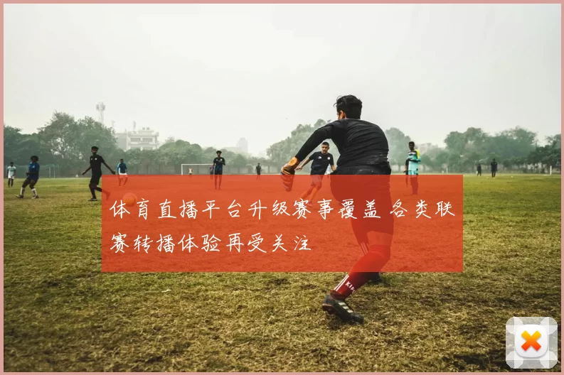 体育直播平台升级赛事覆盖 各类联赛转播体验再受关注