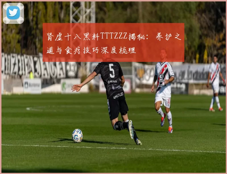 肾虚十八黑料TTTZZZ揭秘:养护之道与食疗技巧深度梳理