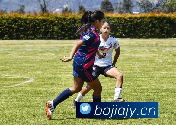 半岛网页版官网服务体系